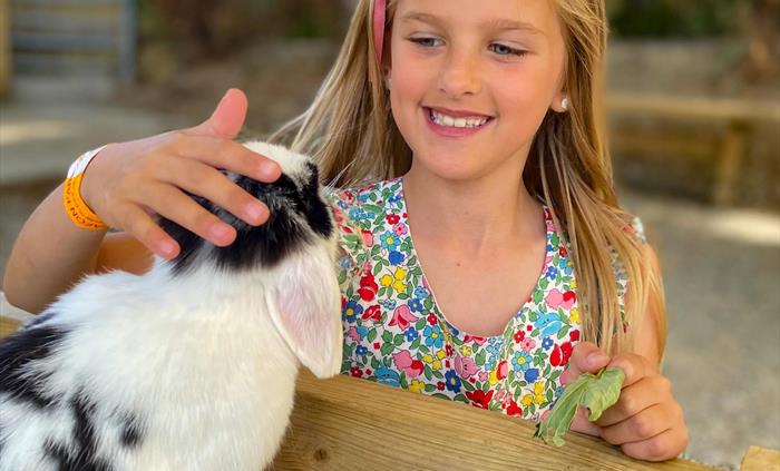 Meet our rabbits at Pet's Corner